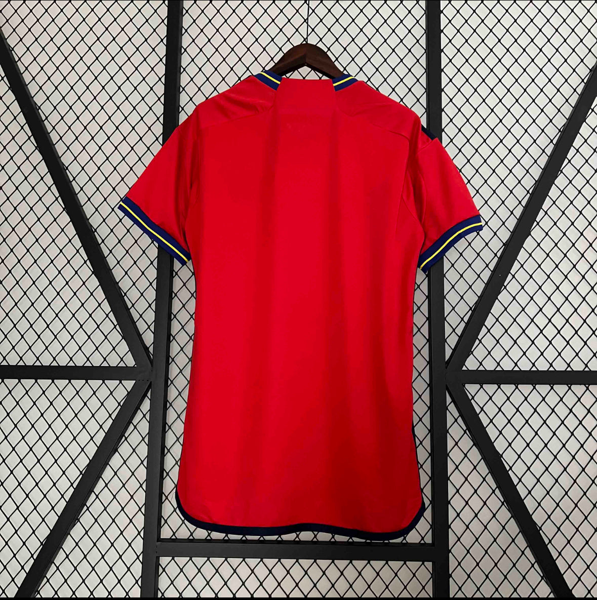 Camiseta España Edición Especial
